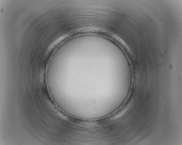 X0000083060778200702232020