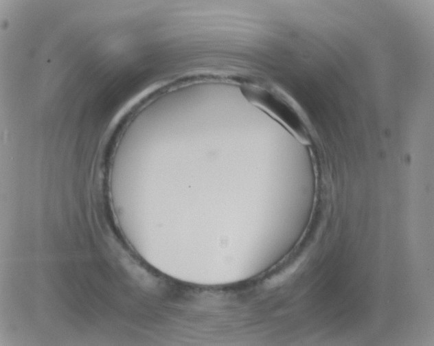 X0000083060779200702232020