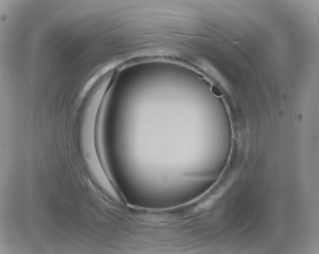 X0000083060781200702232020