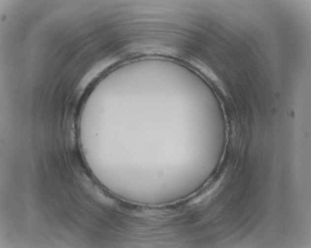 X0000083060782200702232020