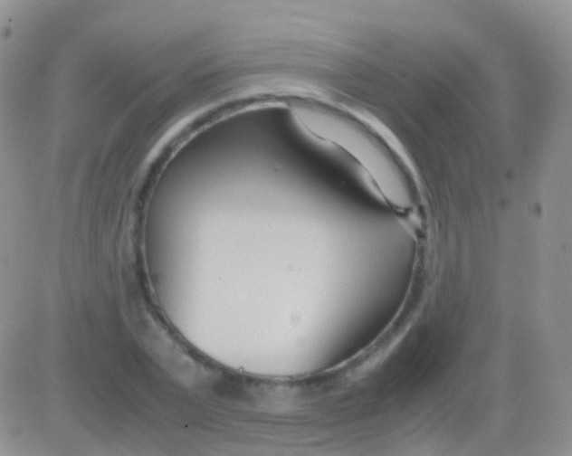 X0000083060783200702232020