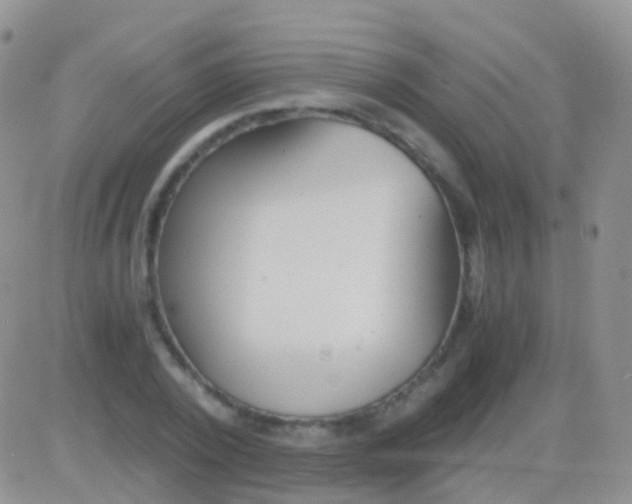 X0000083060784200702232020