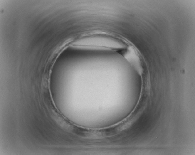 X0000083060785200702232020