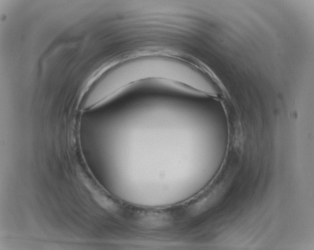 X0000083060786200702232020