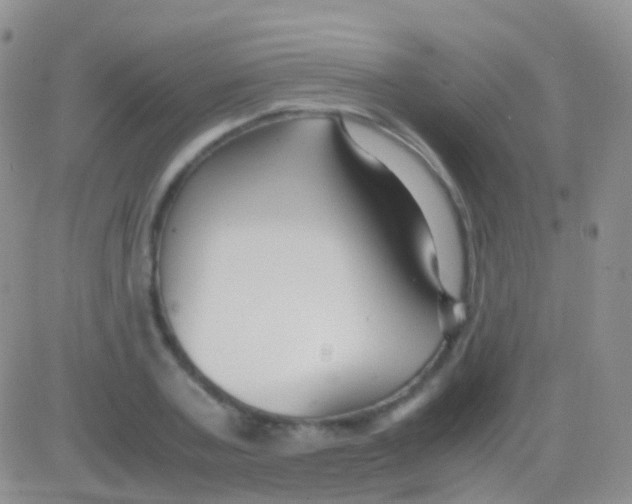 X0000083060787200702232020