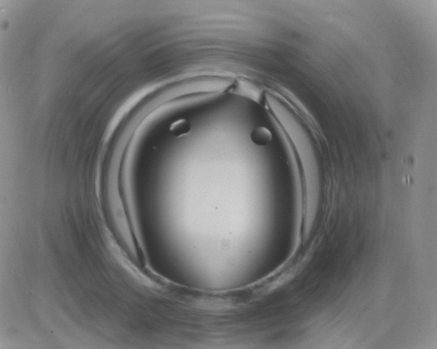 X0000083060788200702232020