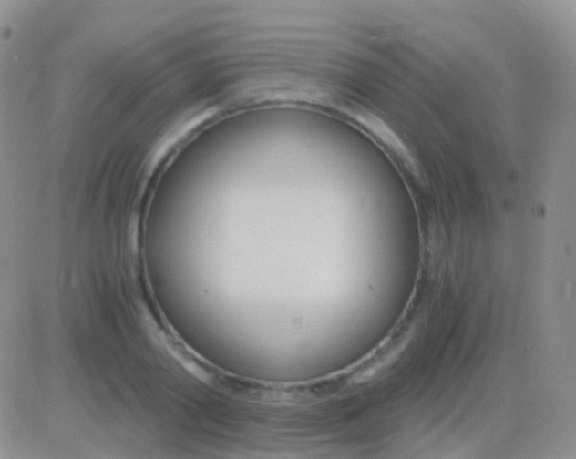 X0000083060790200702232020