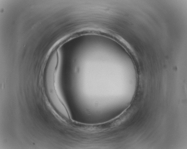 X0000083060791200702232020