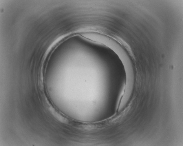 X0000083060792200702232020