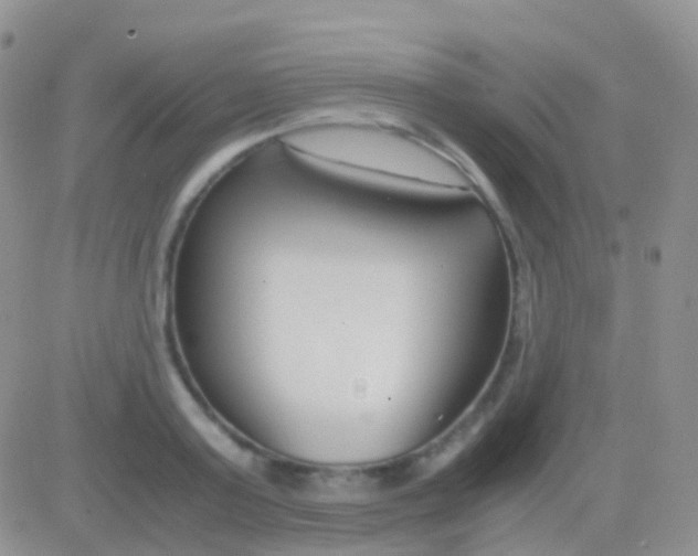 X0000083060795200702232020