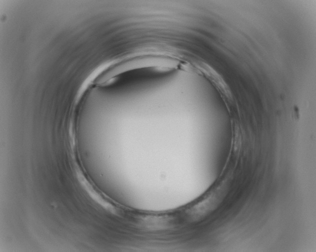 X0000083060796200702232020