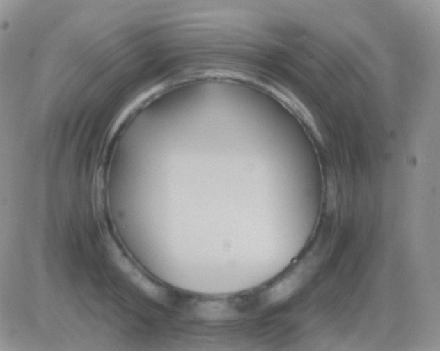 X0000083060798200702232020