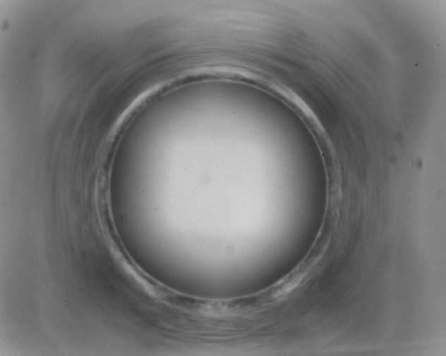 X0000083060799200702232020