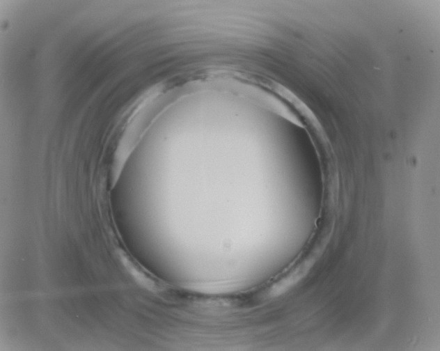 X0000083060801200702232020