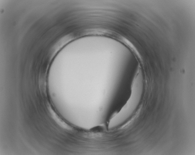 X0000083060802200702232020