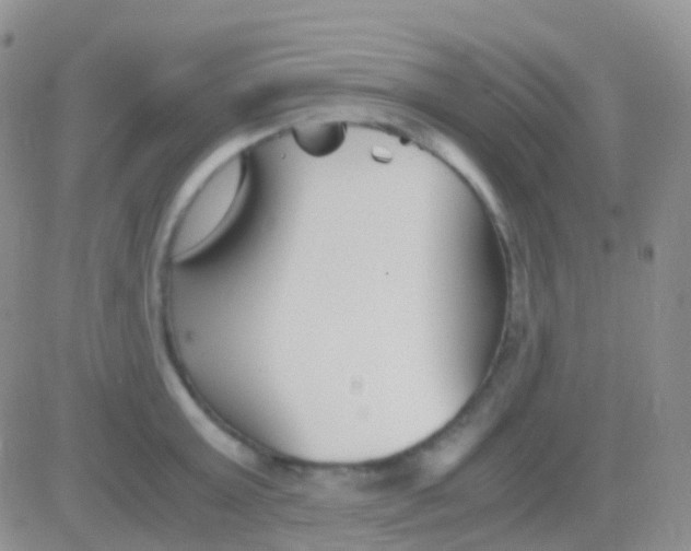 X0000083060803200702232020