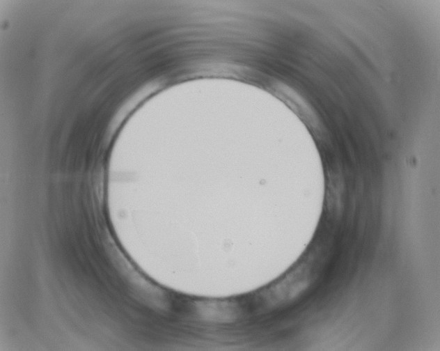 X0000083060804200702232020