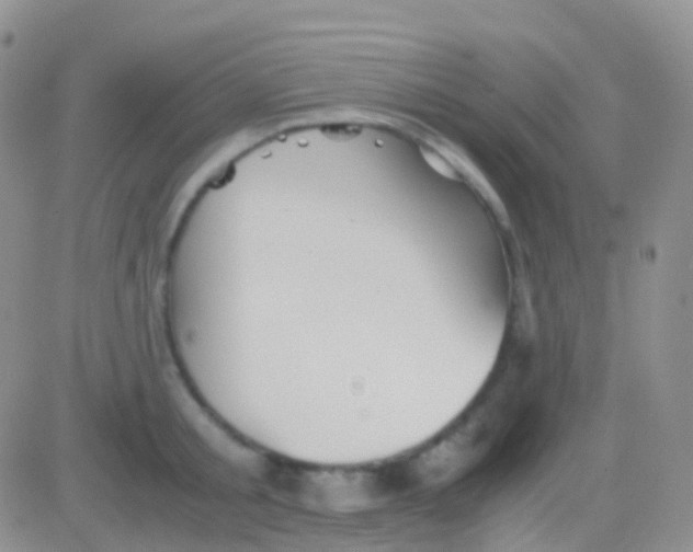 X0000083060805200702232020