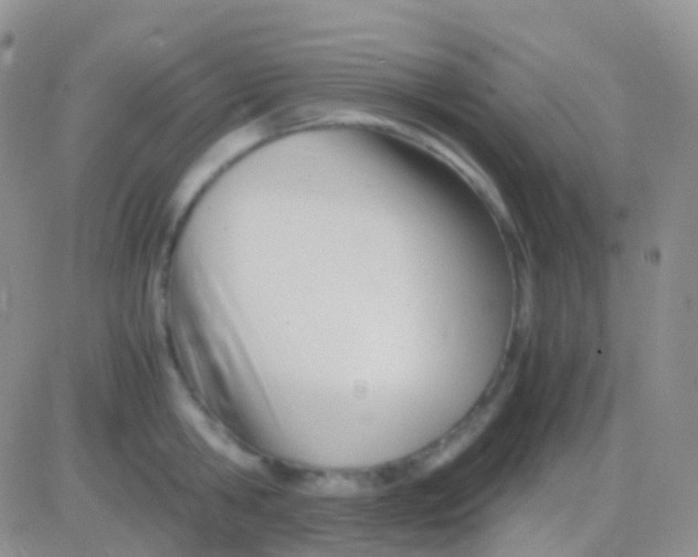 X0000083060806200702232020