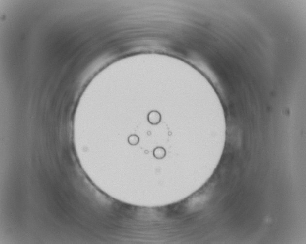 X0000083060807200702232020