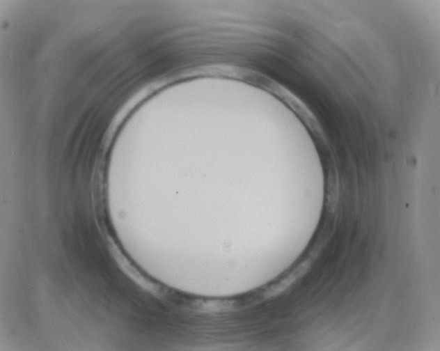 X0000083060808200702232020