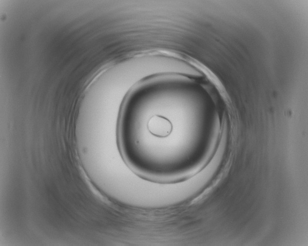 X0000083060809200702232019