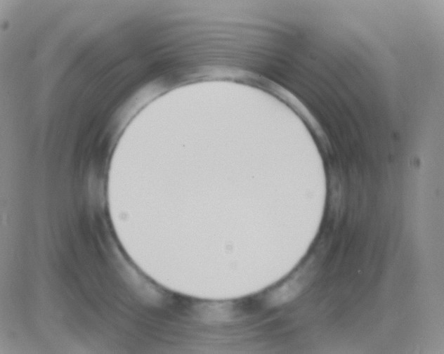 X0000083060810200702232019