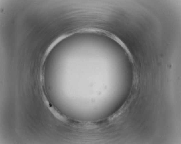 X0000083060811200702232019