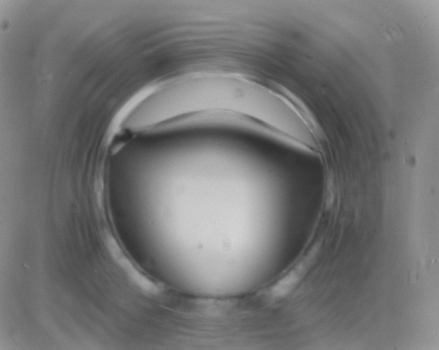 X0000083060812200702232019