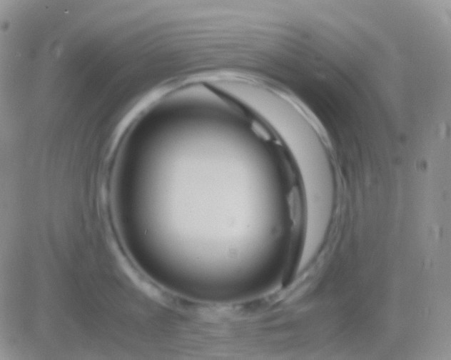 X0000083060813200702232019