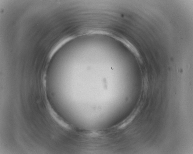 X0000083060814200702232019