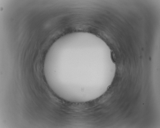 X0000083060817200702232019