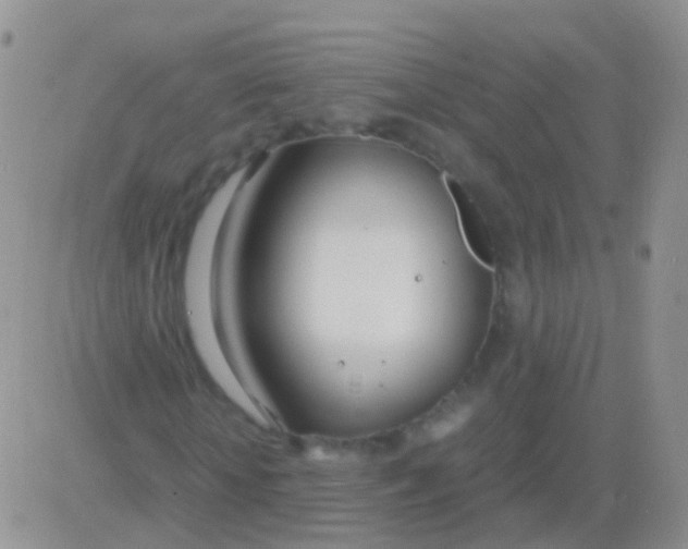 X0000083060818200702232019