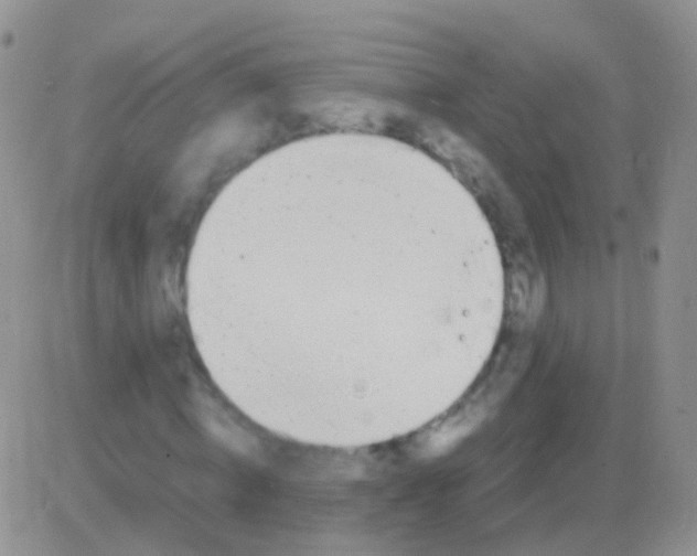 X0000083060820200702232019