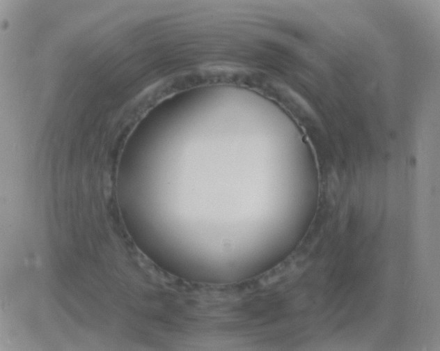 X0000083060821200702232019