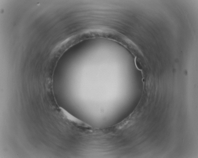 X0000083060822200702232019