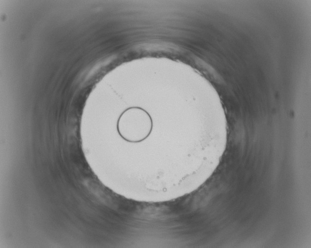 X0000083060824200702232019