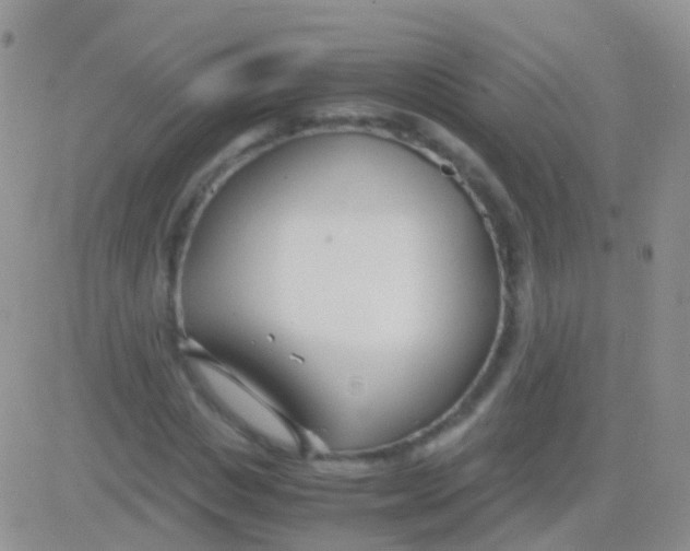 X0000083060825200702232019