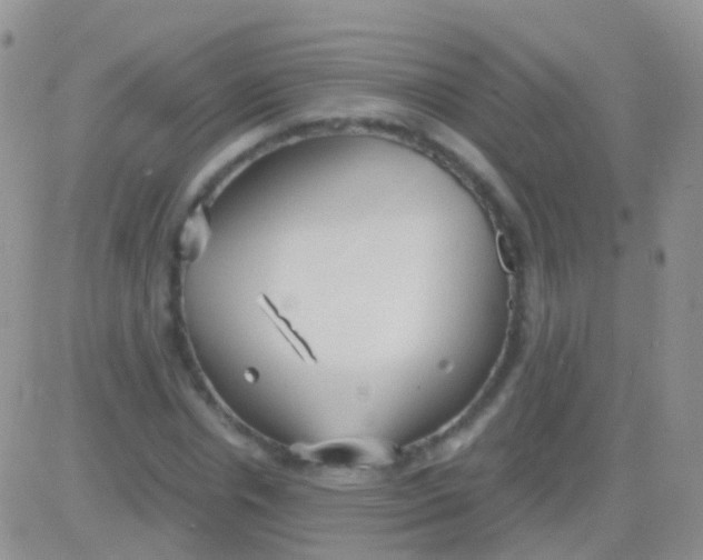 X0000083060826200702232019