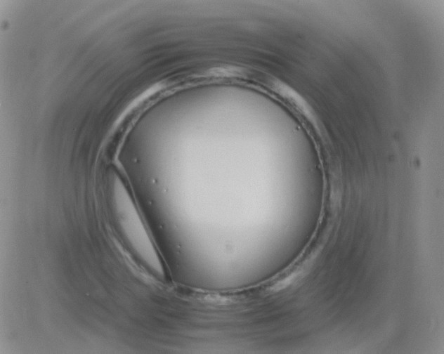 X0000083060827200702232019