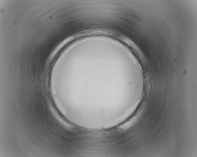 X0000083060828200702232019