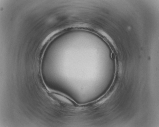 X0000083060829200702232019