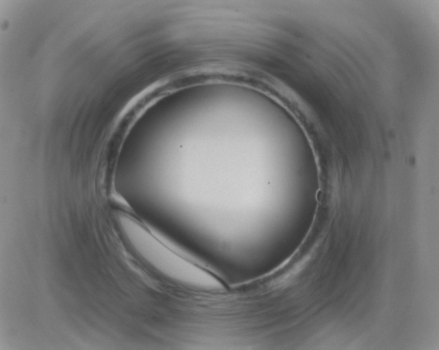 X0000083060830200702232019