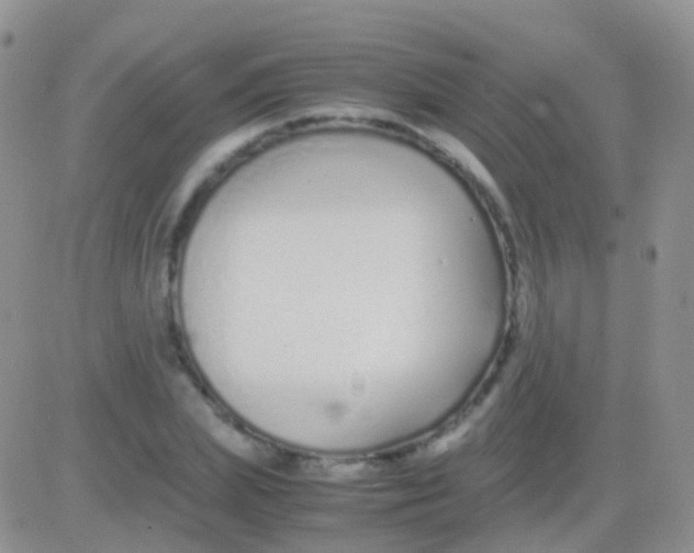 X0000083060831200702232019