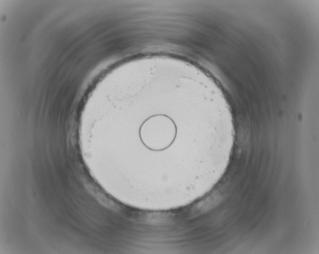 X0000083060832200702232019