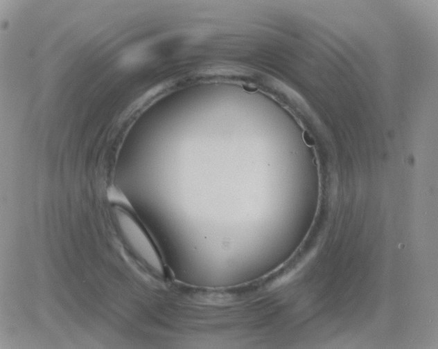 X0000083060833200702232019