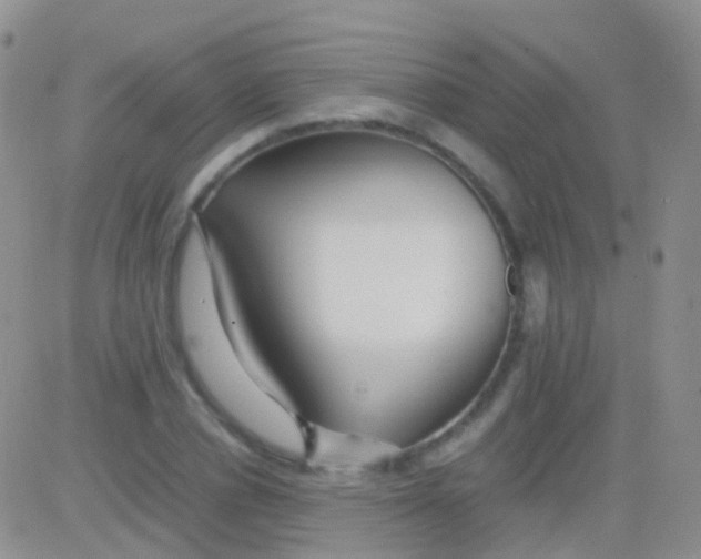 X0000083060834200702232019