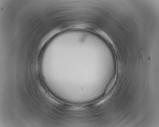 X0000083060835200702232019