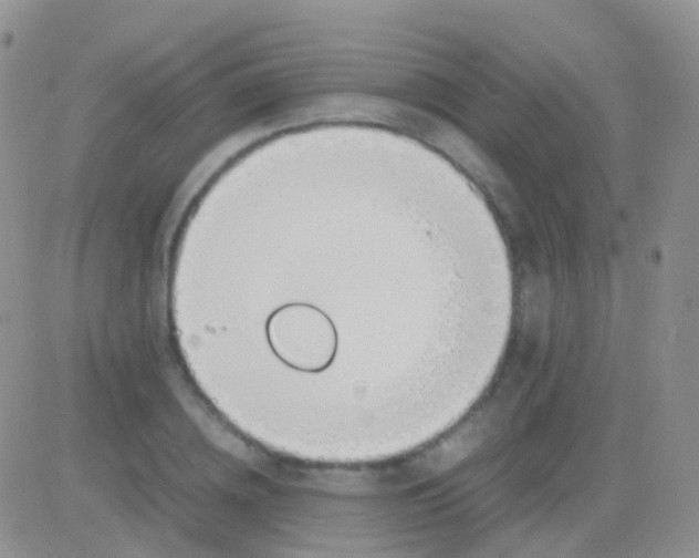 X0000083060836200702232019