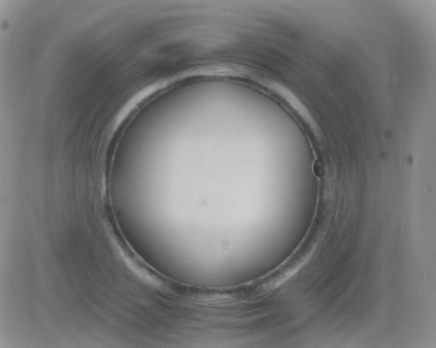 X0000083060837200702232019